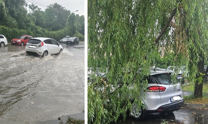 Vijelia a lovit năprasnic în zona Timișoarei: străzi inundate și mulți copaci căzuți