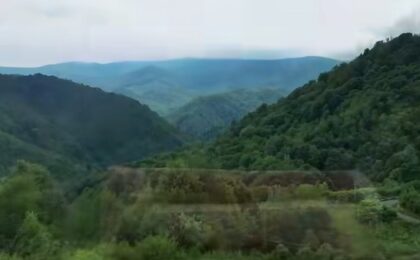 Zone de popas și odihnă, amenajate într-una dintre cele mai pitorești zone din Timiș 4 Zone de popas și odihnă, amenajate într-una dintre cele mai pitorești zone din Timiș