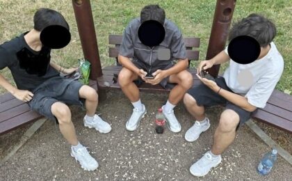 Sute de amenzi la Timişoara: maşini parcate neregulamentar, coji de semințe și alte resturi aruncate pe jos, câini fără lesă 20 Sute de amenzi la Timişoara: maşini parcate neregulamentar, coji de semințe și alte resturi aruncate pe jos, câini fără lesă