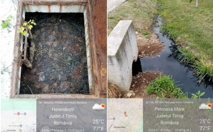Deversări de ape uzate în Petroasa Mare și Herendești. Ce măsuri a dispus Garda de Mediu Timiș 1 Deversări de ape uzate în Petroasa Mare și Herendești. Ce măsuri a dispus Garda de Mediu Timiș