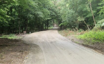 A fost finalizată reabilitarea unui drum forestier din vestul țării