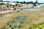 Debitul Dunării se apropie de minimul istoric din 1985