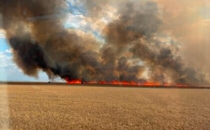 Peste 50 de hectare de culturi de grâu, 1.250 de baloți de furaje și 4 utilaje agricole au ars în judeţul Timiş 6 Peste 50 de hectare de culturi de grâu, 1.250 de baloți de furaje și 4 utilaje agricole au ars în judeţul Timiş