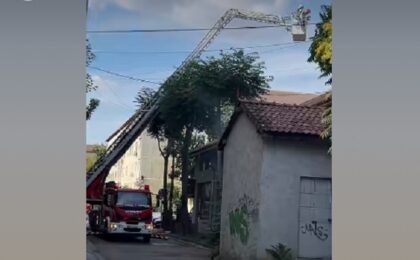 Bărbat reţinut de poliţişti la Timişoara, după ce a provocat un incendiu care a afectat şi câteva maşini 1 Bărbat reţinut de poliţişti la Timişoara, după ce a provocat un incendiu care a afectat şi câteva maşini