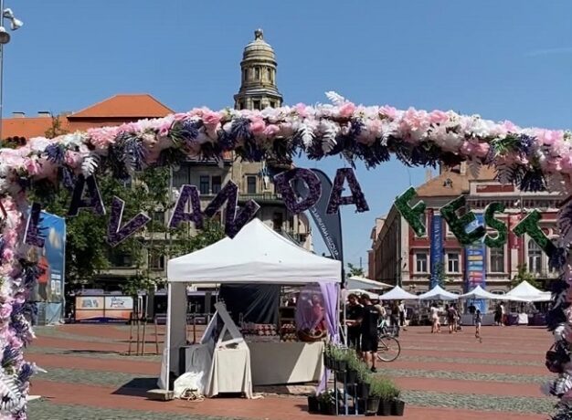 Lavanda Fest - în Piaţa Libertăţii din Timişoara (video)