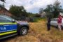 Polițiștii de la Protecția Animalelor Timiș au descins în satul Uliuc