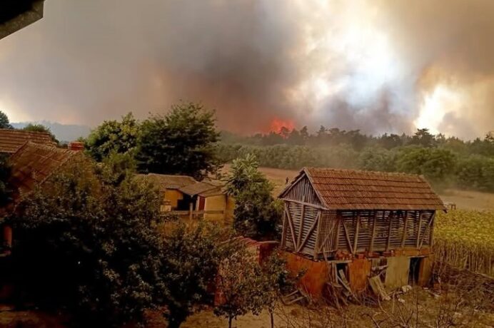 Apel de solidaritate pentru sprijinirea comunităților din Grebenac și Kajtasovo, grav afectate de incendii. Druckeria: "Banatul nu se termină la graniță" 1 Apel de solidaritate pentru sprijinirea comunităților din Grebenac și Kajtasovo, grav afectate de incendii. Druckeria: "Banatul nu se termină la graniță"