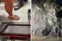 Inconştienţă, teribilism, nepăsare... Un tânăr care voia să escaladeze în şlapi Munţii Banatului le-a dat mari bătăi de cap salvamontiştilor