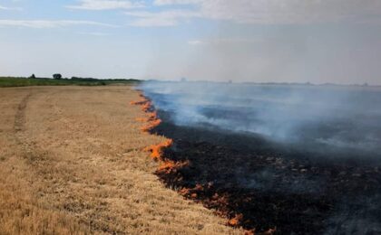 Zi de foc, în plină vară– peste 90 de situații de urgență gestionate în județul Timiș, în ultimele 24 de ore