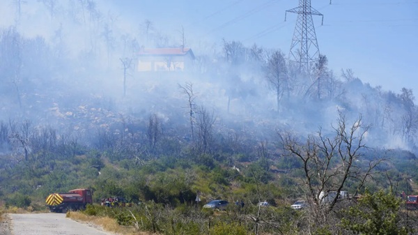MAE precizează că nu au fost români afectați de incendiile din Grecia până în prezent 1 MAE precizează că nu au fost români afectați de incendiile din Grecia până în prezent