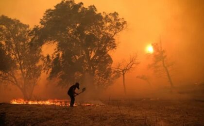 Incendiile de vegetaţie se extind în Grecia. Situaţia se agravează în Franţa şi Spania 7 Incendiile de vegetaţie se extind în Grecia. Situaţia se agravează în Franţa şi Spania