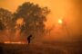 Incendiile de vegetaţie se extind în Grecia. Situaţia se agravează în Franţa şi Spania