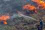 Incendiu puternic într-o zonă a Greciei preferată de români: turiștii au fost evacuați