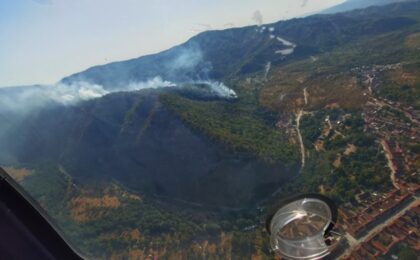 Incendii puternice în Banat: zeci de hectare de teren și două case, cuprinse de flăcări