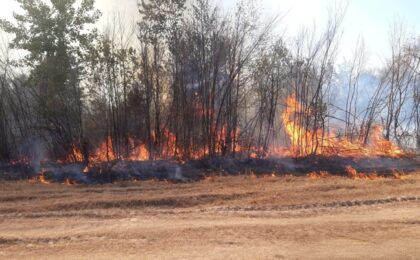 Noi incendii puternice în Timiș. Pericol de propagare la locuințe 6 Noi incendii puternice în Timiș. Pericol de propagare la locuințe