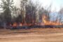 Noi incendii puternice în Timiș. Pericol de propagare la locuințe