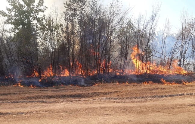 Noi incendii puternice în Timiș. Pericol de propagare la locuințe