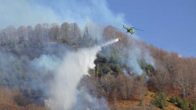 Peste 30 de hectare, afectate de un incendiu în zona Băile Herculane – Domogled (video)