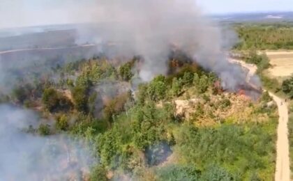 Incendii active pe 250 de hectare, în județul Timiș (video) 6 Incendii active pe 250 de hectare, în județul Timiș (video)