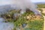 Incendii active pe 250 de hectare, în județul Timiș (video)