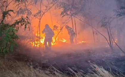 Weekend de foc în Timiș, 199 de intervenții, peste 230 de hectare mistuite de incendii
