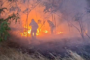 Weekend de foc în Timiș, 199 de intervenții, peste 230 de hectare mistuite de incendii
