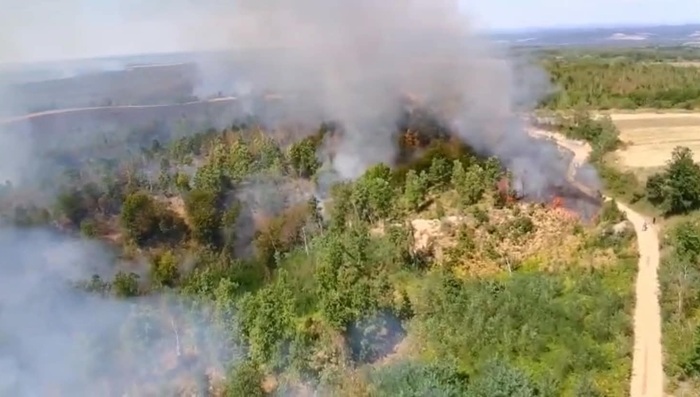 Incendii active pe 250 de hectare, în județul Timiș (video)