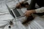 Laptopul potrivit, între ritmul zilnic și munca făcută bine (P)