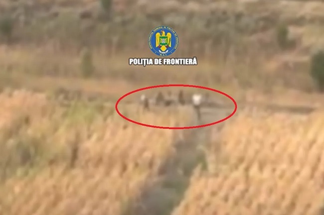 Polițiștii de frontieră din Timiș au depistat cinci cetățeni străini care au încercat să intre ilegal în România din Serbia 1 Polițiștii de frontieră din Timiș au depistat cinci cetățeni străini care au încercat să intre ilegal în România din Serbia