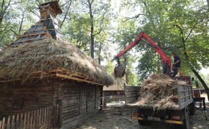 Lucrări de restaurare la 11 obiective ale Muzeului Satului Bănățean Timișoara 40 Lucrări de restaurare la 11 obiective ale Muzeului Satului Bănățean Timișoara