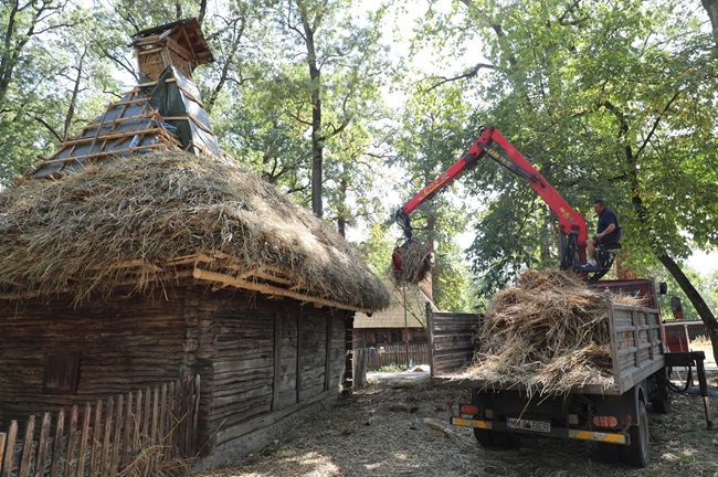 Lucrări de restaurare la 11 obiective ale Muzeului Satului Bănățean Timișoara