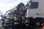 Polițiștii au stabilit cum s-a produs accidentul de pe DN 6 în care au decedat două femei. Au murit și șapte câini. Una dintre mașini este din Timiș
