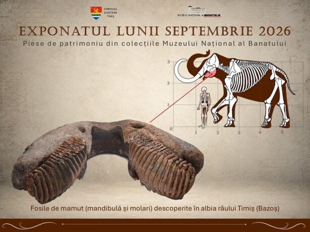 Exponatul lunii la Muzeul Național al Banatului