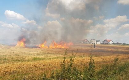 Peste 20 de incendii de vegetație uscată înregistrate în ultimele 48 de ore, în județul Timiș. Aproape 170 de intervenţii ale pompierilor 1 Peste 20 de incendii de vegetație uscată înregistrate în ultimele 48 de ore, în județul Timiș. Aproape 170 de intervenţii ale pompierilor