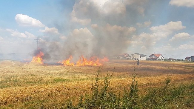 Peste 20 de incendii de vegetație uscată înregistrate în ultimele 48 de ore, în județul Timiș. Aproape 170 de intervenţii ale pompierilor 1 Peste 20 de incendii de vegetație uscată înregistrate în ultimele 48 de ore, în județul Timiș. Aproape 170 de intervenţii ale pompierilor