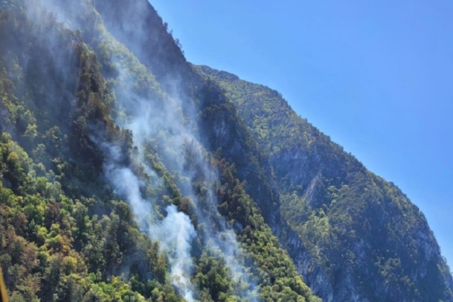 Incendiile din pădurile Banatului, greu de stins (VIDEO)