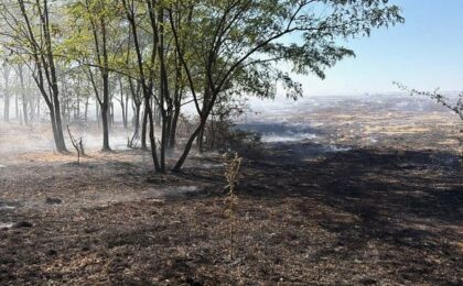 Sfârşit de săptămână cu multe intervenţii ale pompierilor timişeni. Incendii pe 95 de hectare