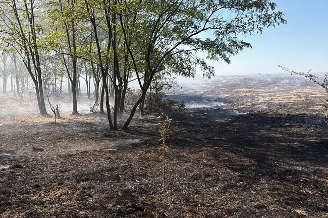 Sfârşit de săptămână cu multe intervenţii ale pompierilor timişeni. Incendii pe 95 de hectare