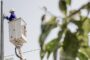 Întreruperi de curent electric în județul Timiș, în perioada 7 – 12 septembrie