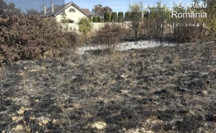 Incendii pe zeci de hectare de teren, în Timiș, în ultimele 24 de ore 2 Incendii pe zeci de hectare de teren, în Timiș, în ultimele 24 de ore