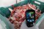Produse expirate, carne depozitată necorespunzător și echipamente ruginite, descoperite de ANPC