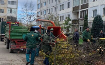 Începe curățenia de toamnă la Lugoj. Calendarul colectării deșeurilor vegetale 5 Începe curățenia de toamnă la Lugoj. Calendarul colectării deșeurilor vegetale