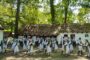 Regal folcloric la Timişoara: Festivalul național ”Tradiții la Români”