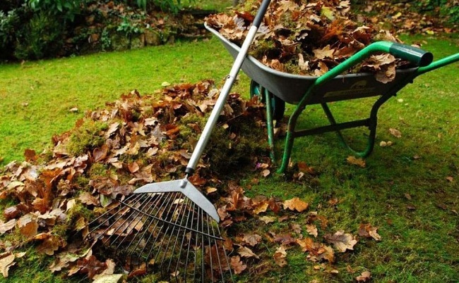 Campanie gratuită de colectare a deşeurilor vegetale în comuna Giroc