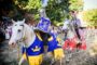 festival medieval