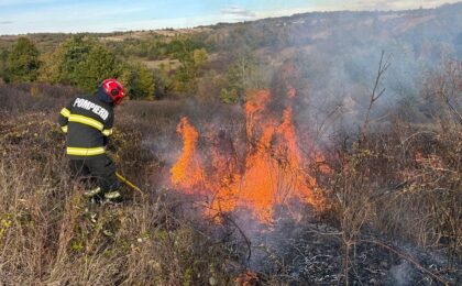 Peste 50 de hectare de teren din Timiş, afectate de incendii de vegetație uscată, în ultimele 24 de ore 22 Peste 50 de hectare de teren din Timiş, afectate de incendii de vegetație uscată, în ultimele 24 de ore