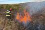 Peste 50 de hectare de teren din Timiş, afectate de incendii de vegetație uscată, în ultimele 24 de ore