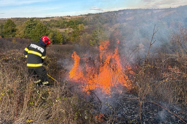 Peste 50 de hectare de teren din Timiş, afectate de incendii de vegetație uscată, în ultimele 24 de ore 1 Peste 50 de hectare de teren din Timiş, afectate de incendii de vegetație uscată, în ultimele 24 de ore