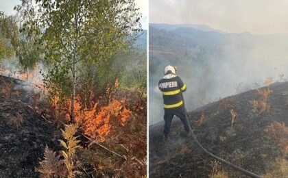 Peste 10 ore de luptă cu flăcările și 130 de hectare mistuite de un singur incendiu. O fermă cu peste 200 de caprine, în calea focului 2 Peste 10 ore de luptă cu flăcările și 130 de hectare mistuite de un singur incendiu. O fermă cu peste 200 de caprine, în calea focului