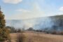 Mai multe incendii de vegetație în județul Timiș (VIDEO)